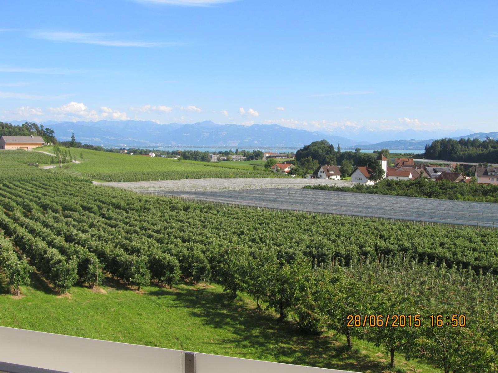 Landhaus Erben Wasserburg am Bodensee Exterior photo